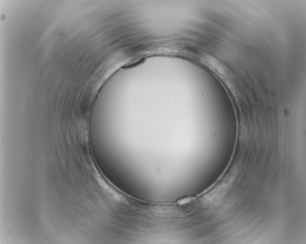 X0000089421433200706291022