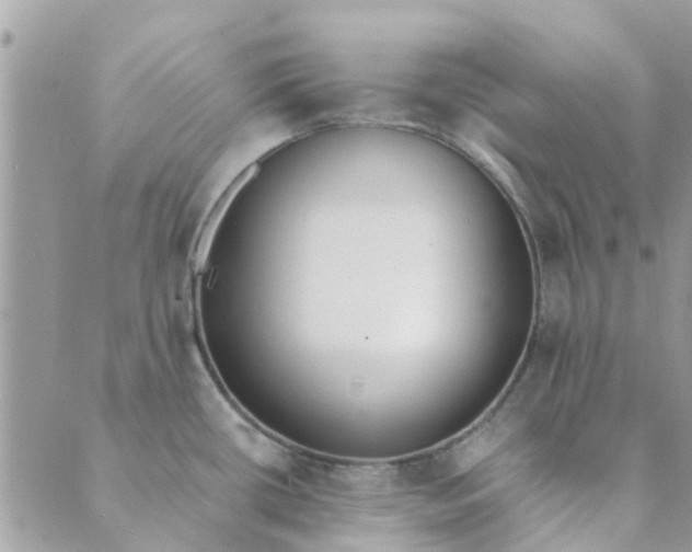 X0000089421434200706291022