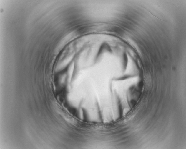 X0000089421435200706291022