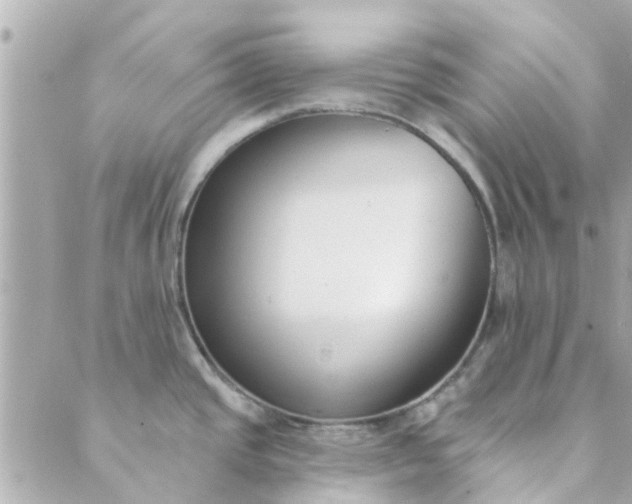 X0000089421437200706291022