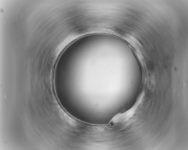 X0000089421438200706291022