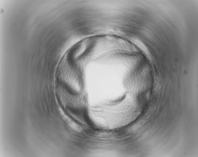 X0000089421439200706291022