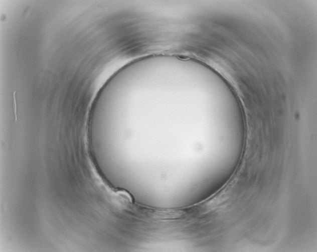 X0000089421440200706291022