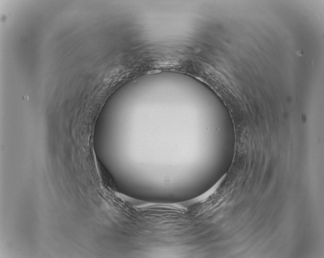 X0000089421441200706291021