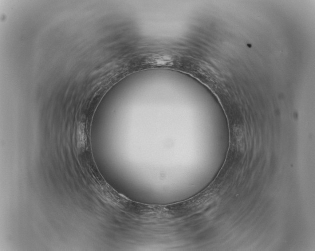 X0000089421442200706291021