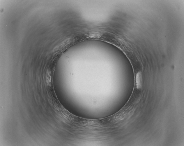 X0000089421443200706291021