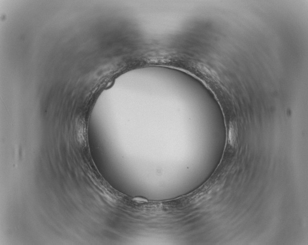 X0000089421444200706291021