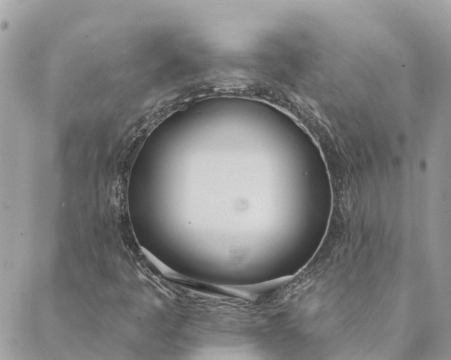 X0000089421445200706291021