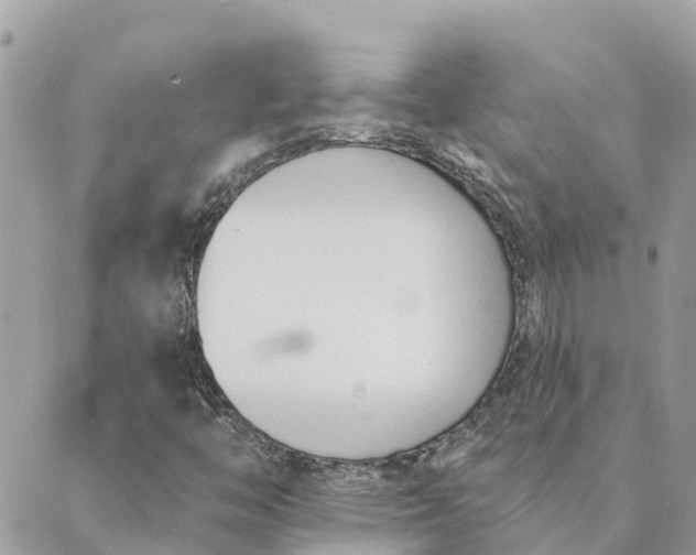 X0000089421446200706291021