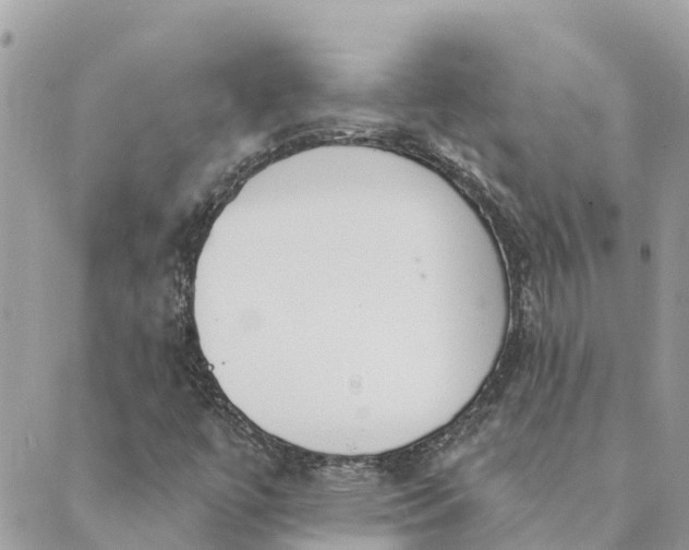 X0000089421447200706291021