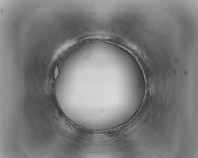 X0000089421448200706291021