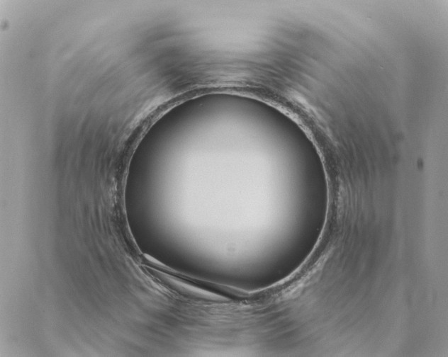 X0000089421449200706291021