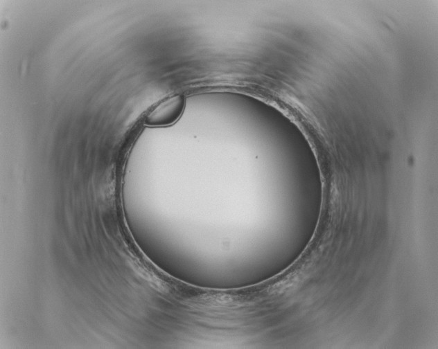 X0000089421450200706291021