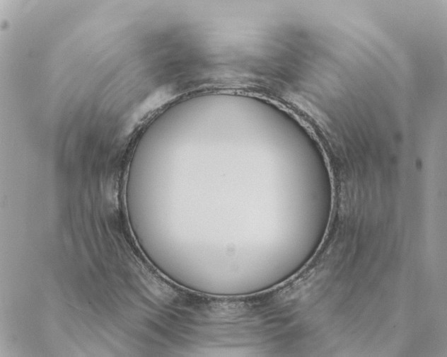 X0000089421451200706291021