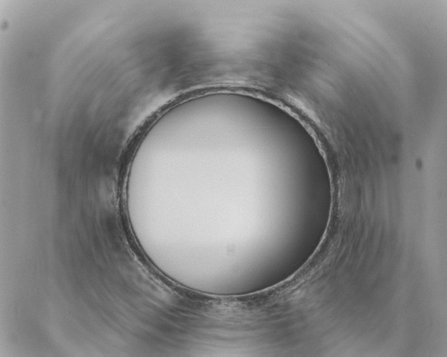 X0000089421452200706291021