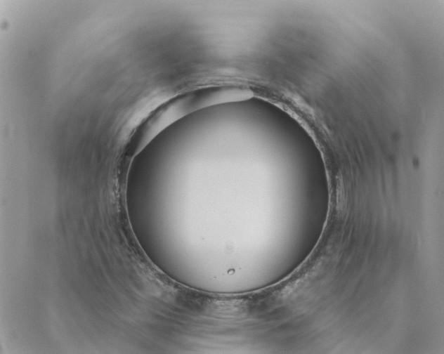 X0000089421453200706291021