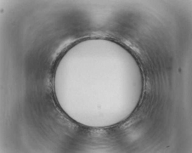 X0000089421454200706291021