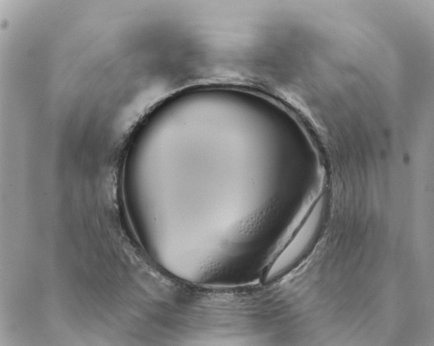 X0000089421455200706291021