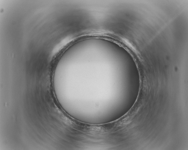 X0000089421456200706291021