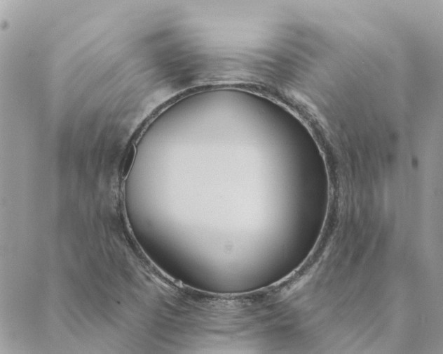 X0000089421457200706291021