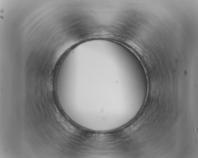 X0000089421458200706291021