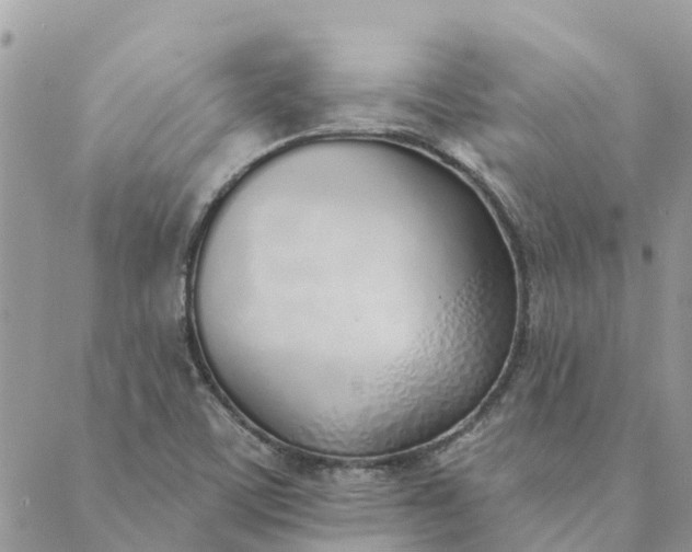 X0000089421459200706291021