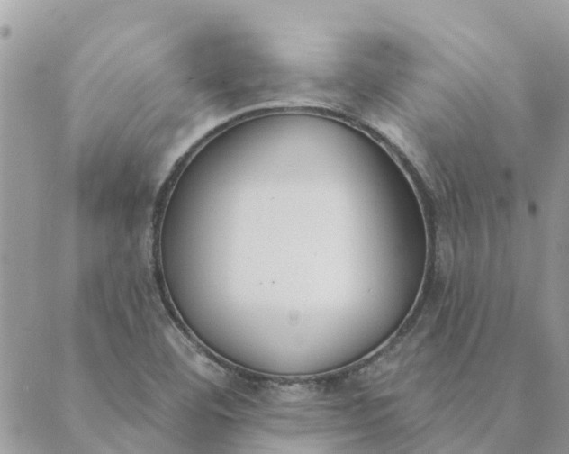 X0000089421460200706291021