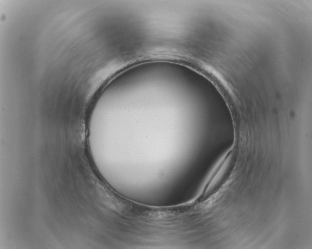 X0000089421461200706291021