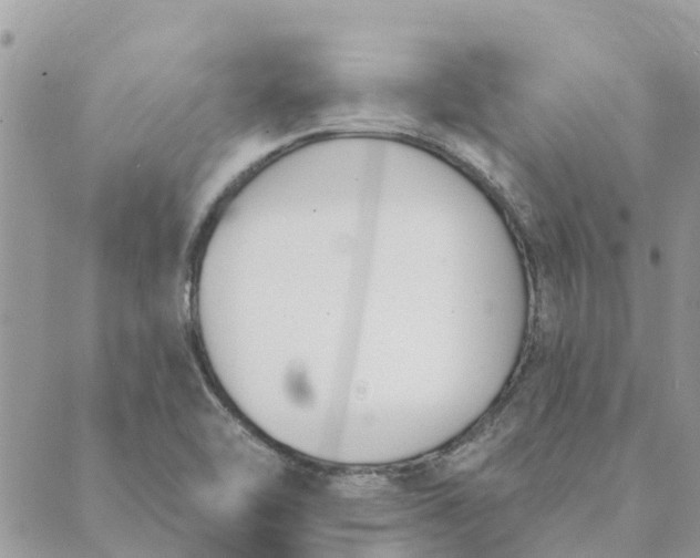 X0000089421462200706291021