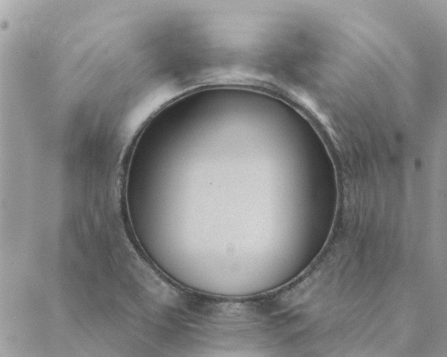 X0000089421463200706291021