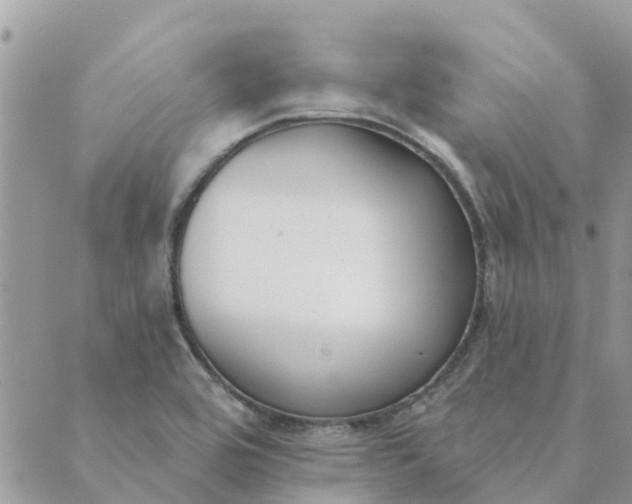 X0000089421464200706291021