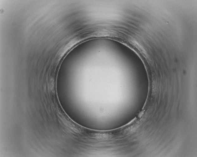 X0000089421465200706291021