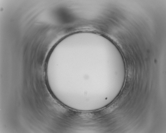 X0000089421466200706291021