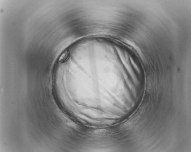 X0000089421467200706291021