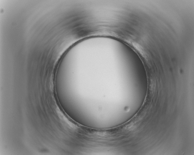 X0000089421468200706291021