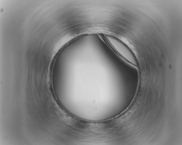 X0000089421469200706291021