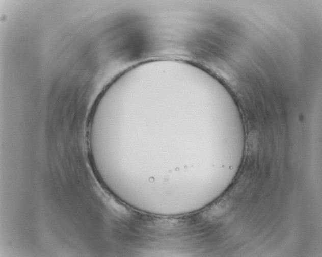 X0000089421470200706291021