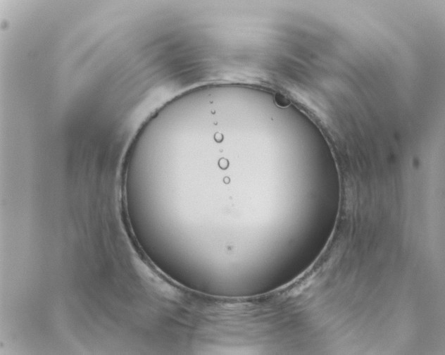 X0000089421471200706291021