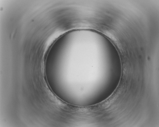 X0000089421472200706291021