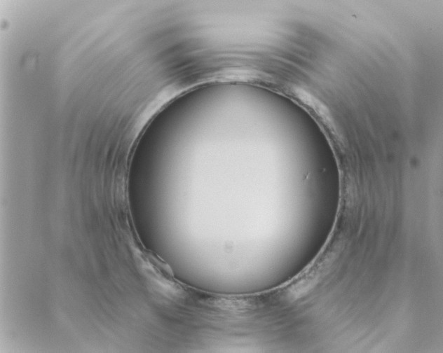 X0000089421473200706291021