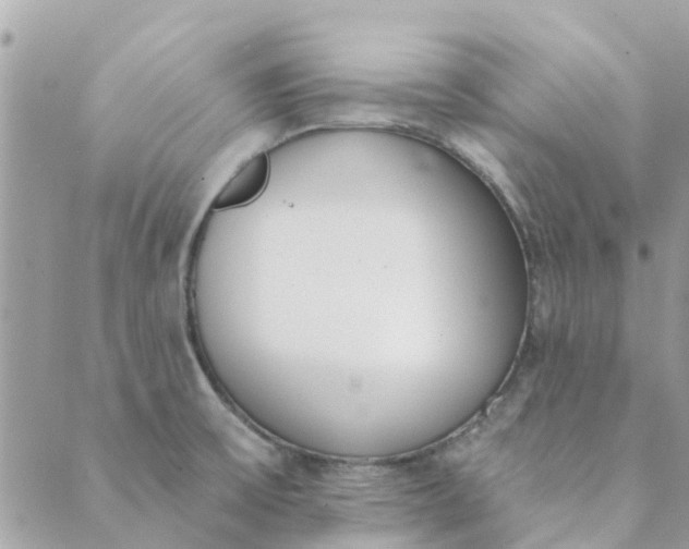 X0000089421475200706291020