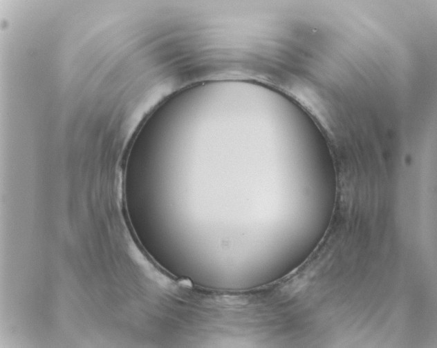 X0000089421476200706291020