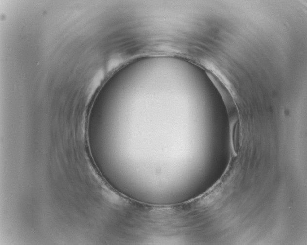 X0000089421477200706291020