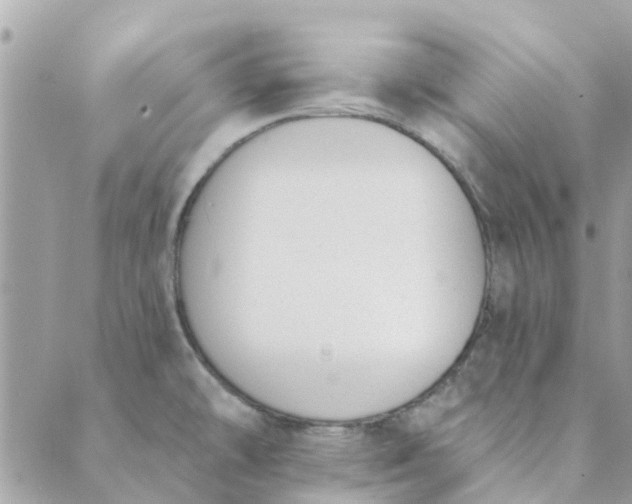 X0000089421478200706291020