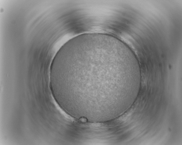 X0000089421479200706291020