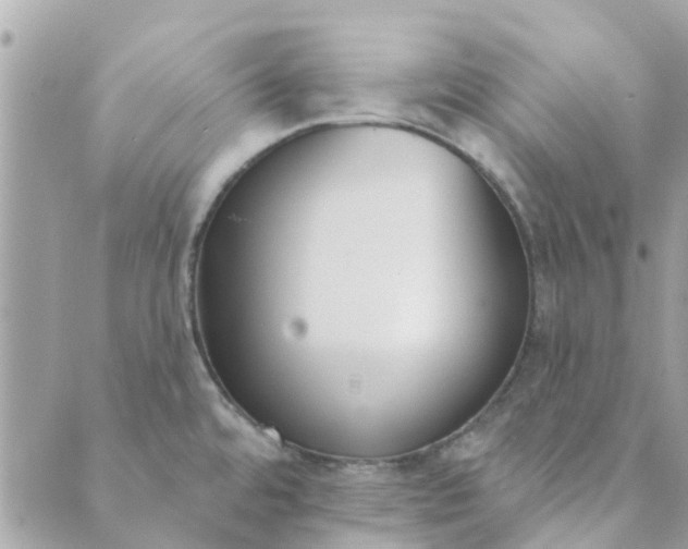 X0000089421480200706291020