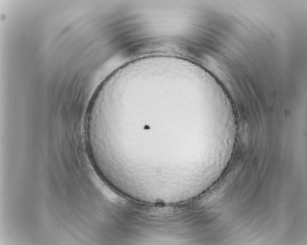 X0000089421482200706291020