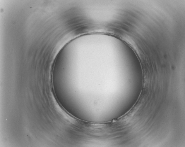 X0000089421483200706291020