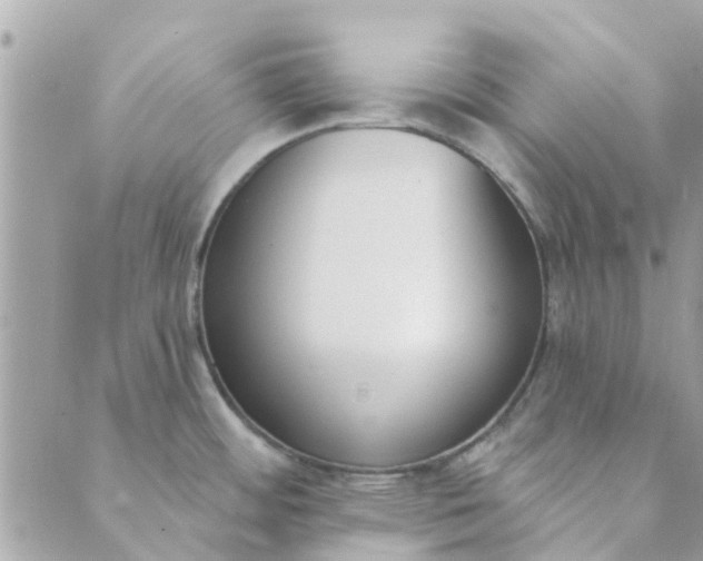 X0000089421484200706291020