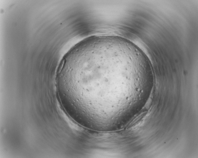 X0000089421485200706291020